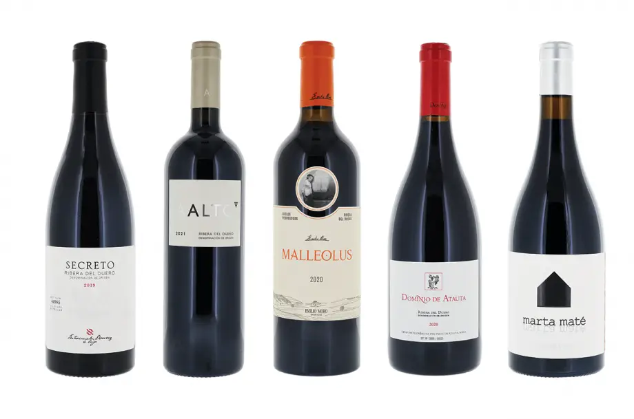 Ribera del Duero Outsanding wines by Decanter 