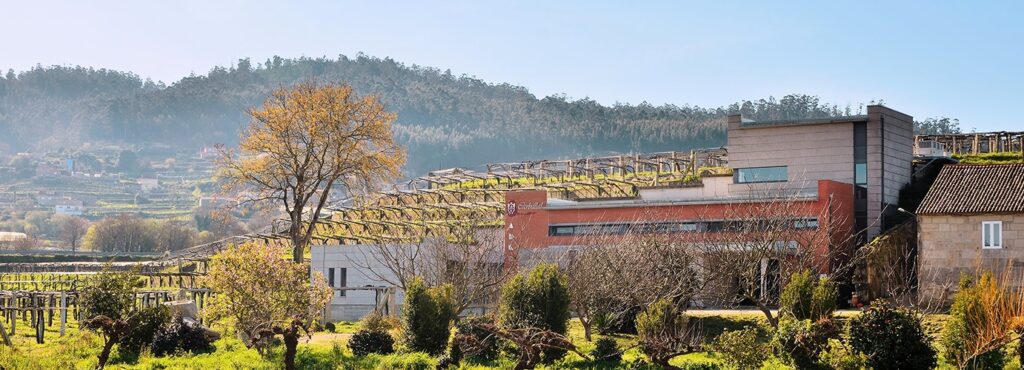 Bodega Carballal - Albariño