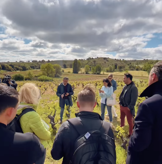 Ribera del Duero Wine Educator